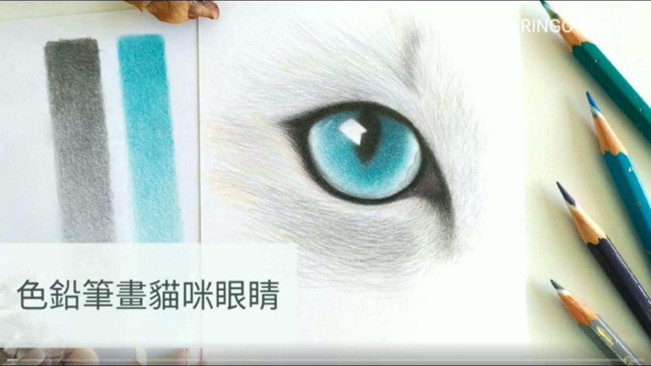色鉛筆動物畫 貓咪眼睛 - 從打草稿開始 完整示範 色鉛筆教學 | Drawing Cat's Eye with Colored Pencil Tutorial