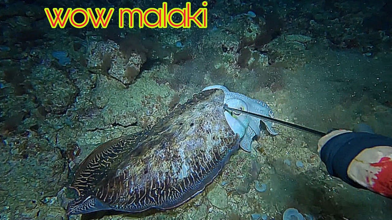 ep663  malaking kulambutan na swertihan 