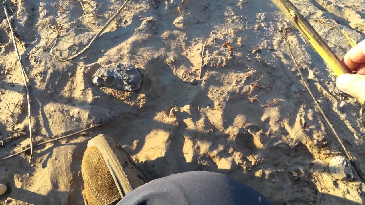 S'orienter grâce au Soleil