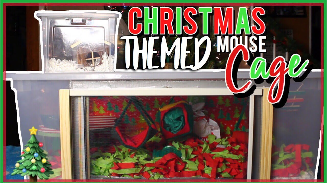 CHRISTMAS THEMED Mouse Cage Tour! | Pet Rodent Cage
