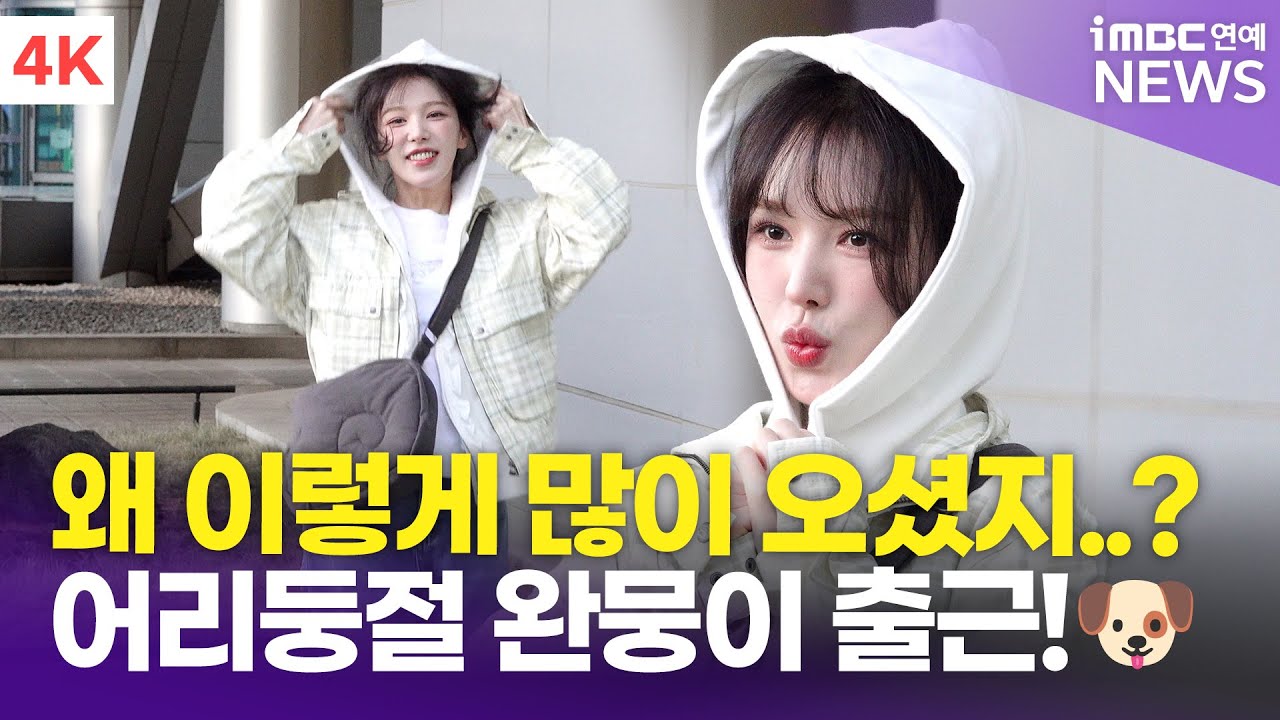 [4K] 레드벨벳 웬디, 달려라 완뭉이!🐶 잔뜩 모인 취재진에 깜짝 놀란 완D~ | Red Velvet WENDY '웬디의 영스트리트' 출근길