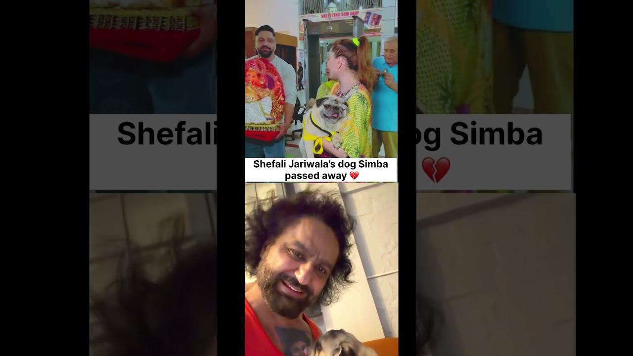 Shefali Jariwala husband Parag Tyagi latest news / Shefali Jariwala dog died .