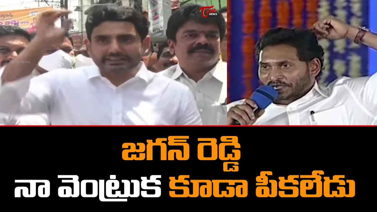 జగన్ నా వెంట్రుక కూడా పీకలేడు | Nara Lokesh Sensational Comments on YS Jagan | TOne News