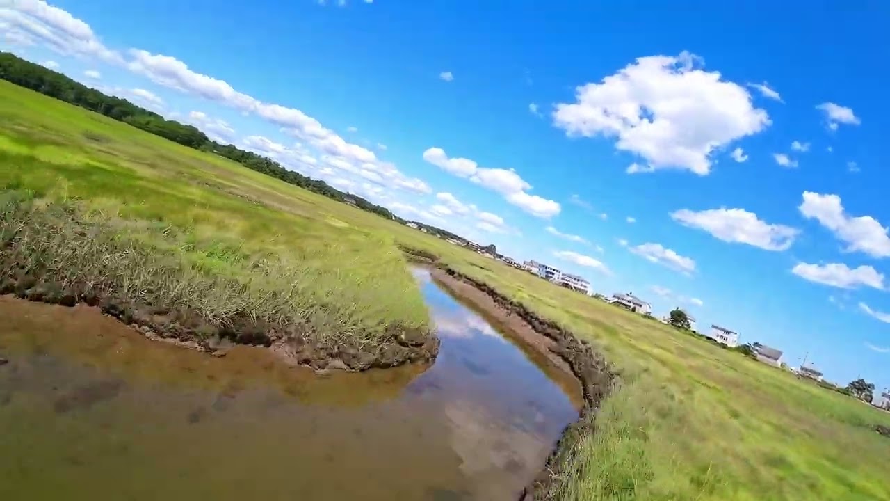 ELO: Turn to Stone - Avata Flight over Awcomin Swamp #avata #drone #newhampshire