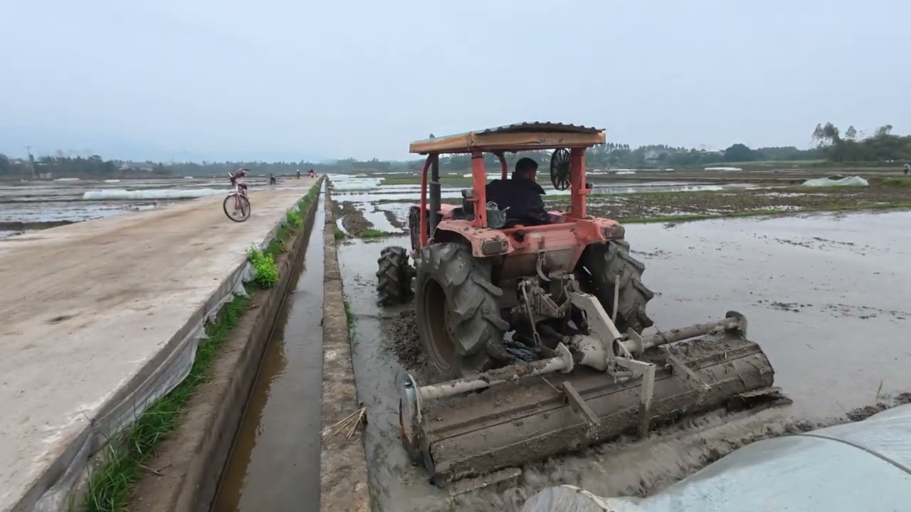 Zl 45 sới nước làm đến cấy với giá 350k trên 1sào bắc bộ 360 m2