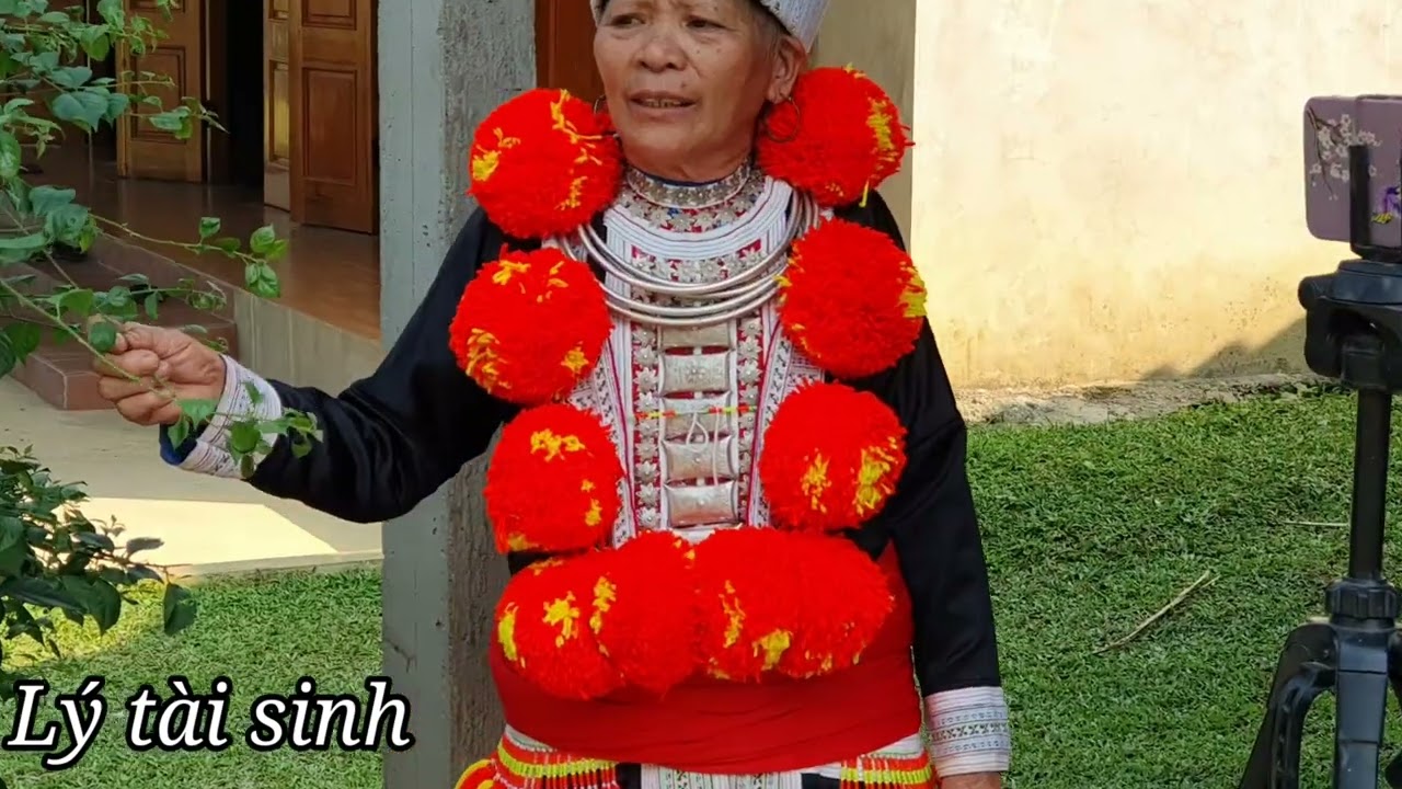 Lu domain Ly Tai Sinh Ly Thi Nghen sings a song that married couples can't leave each other