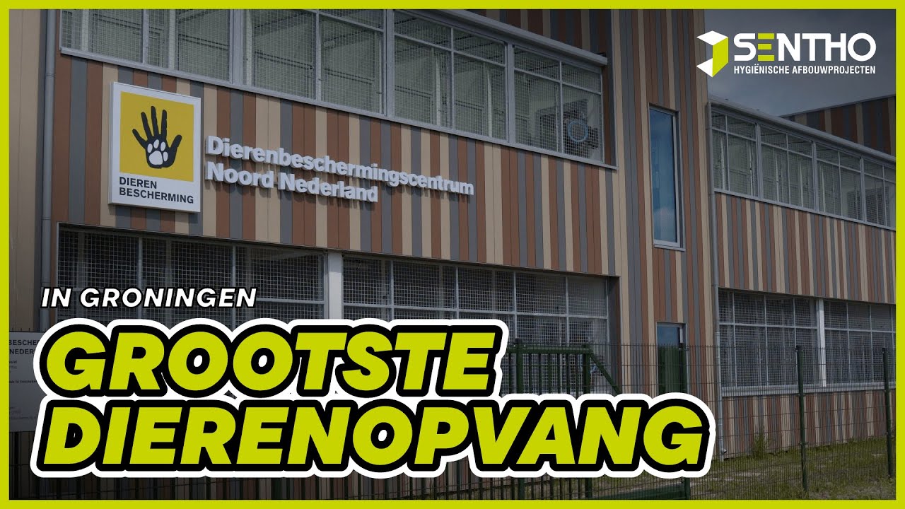 De grootste dierenopvang in Groningen! | Sentho op bezoek bij de Dierenbescherming