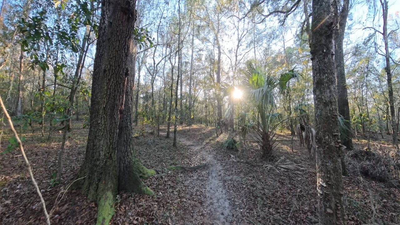 Croom Trail North Loop Hike, 7.8m Loop Trail, Full Walk, Finish