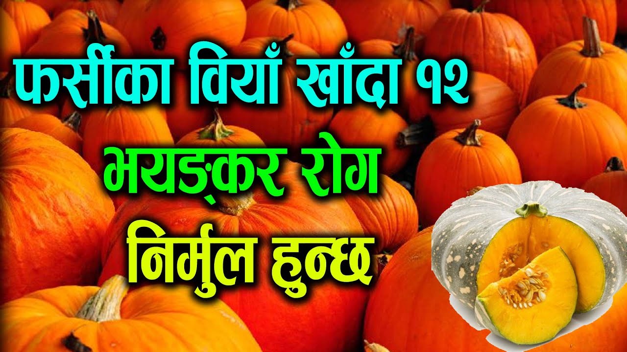 फर्सिको बियाँ खाँदा १२ भयङ्कर रोग निर्मुल हुन्छ Pumpkin Seeds Benifits by Saharapati tv | tips