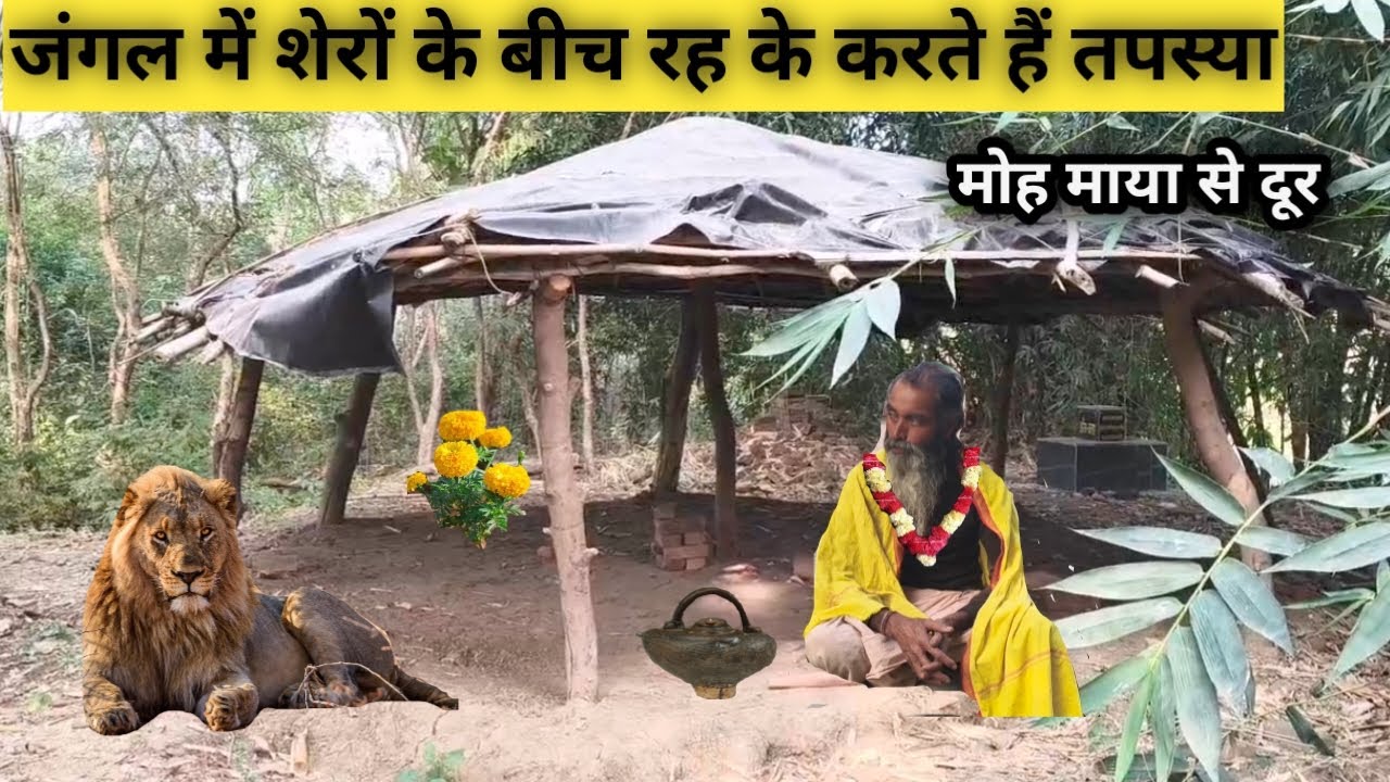 दुनिया का मोह माया छोड़कर।। जंगल में शेरों के बीच रहकर।। करते हैं भजन साधना।।