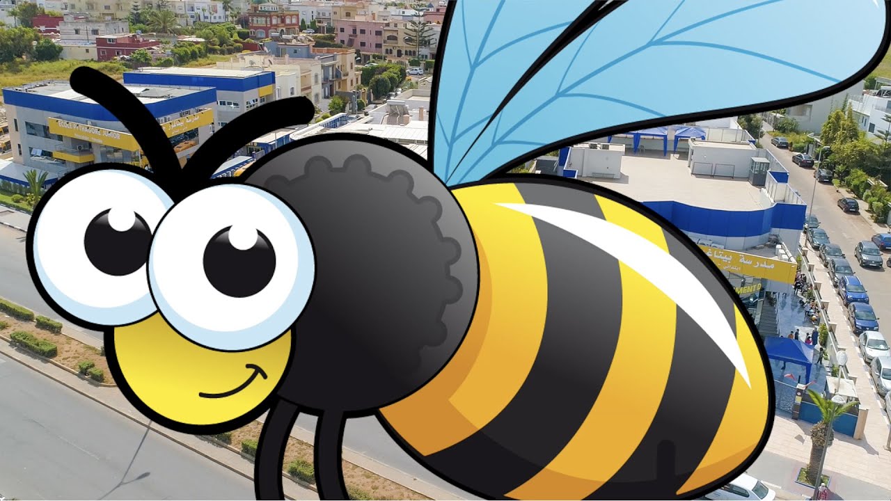 Groupe Scolaire Pythagore : Le monde merveilleux de l'abeille.