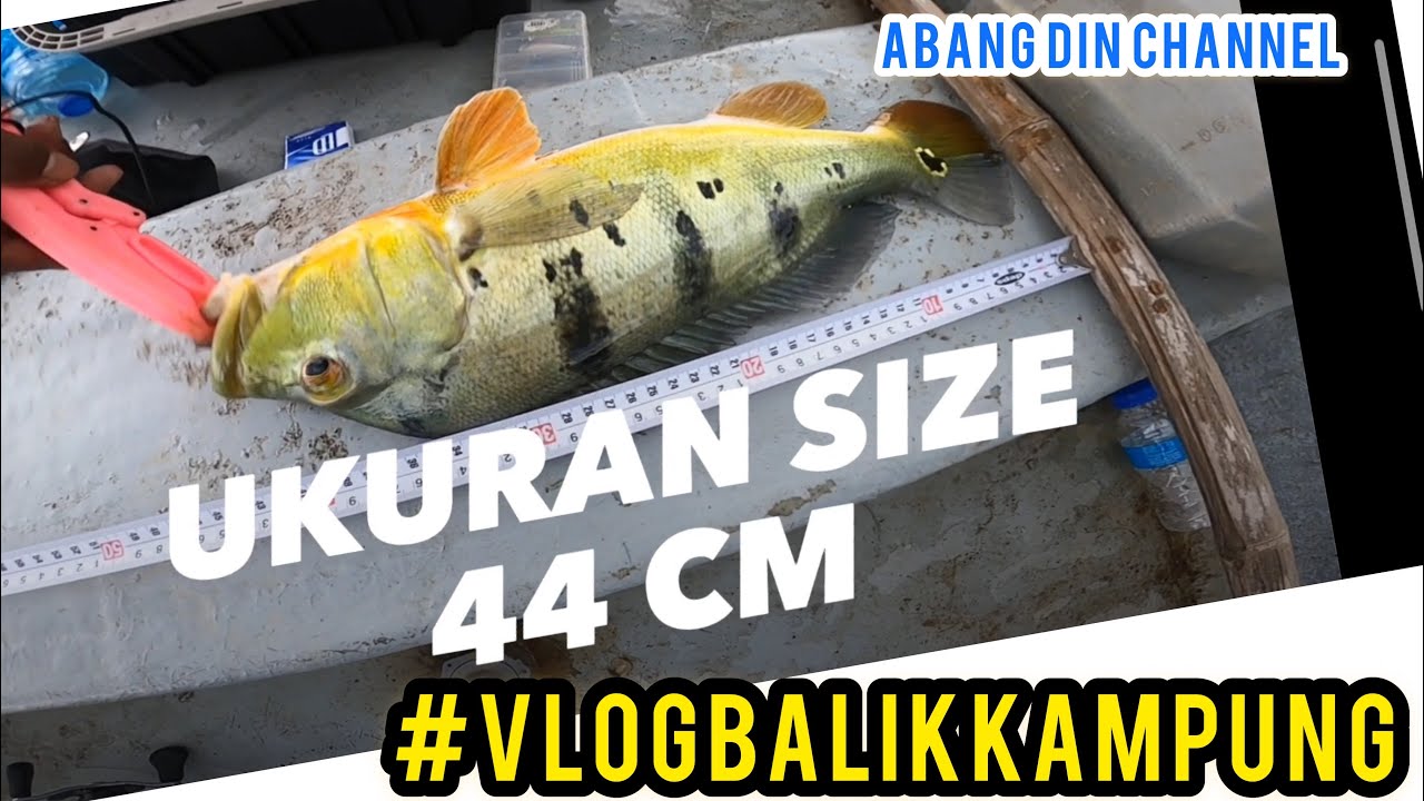 Port-port mancing di Perlis ... #vlogbalikkampung