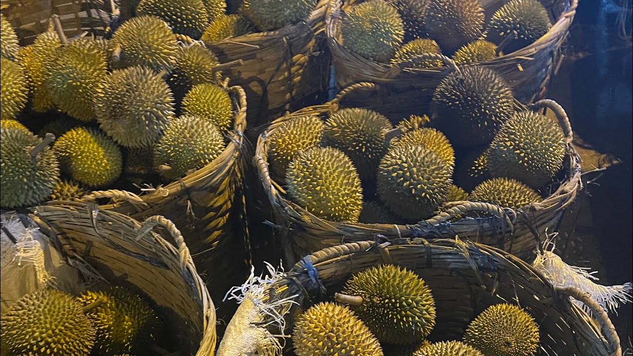 pergi ke (PCC Demak)Dibanjiri buah-buahan tempatan.