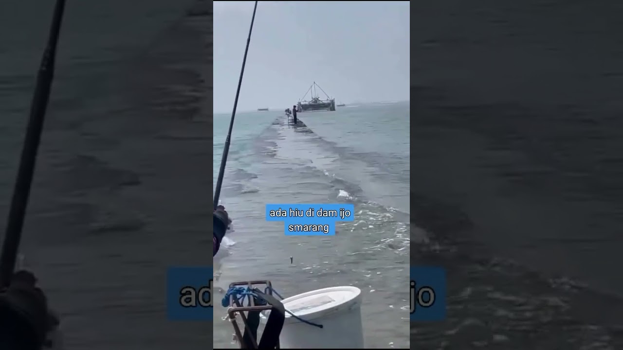 Hiu Besar di Dam Ijo Semarang Vt: suprapto