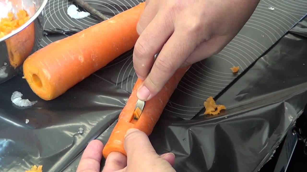 THE VEGETABLE ORCHESTRA