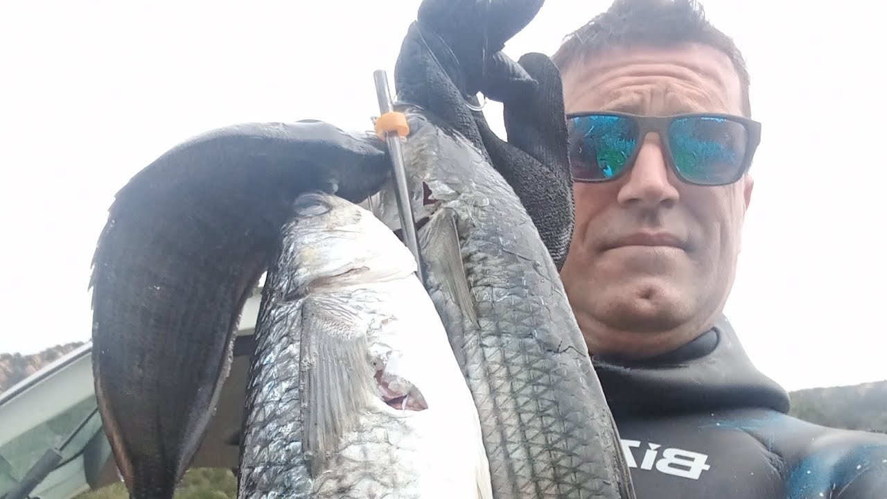 PESCA SUB SARDINIA: AGGUATI AI GROSSI MUGGINI....