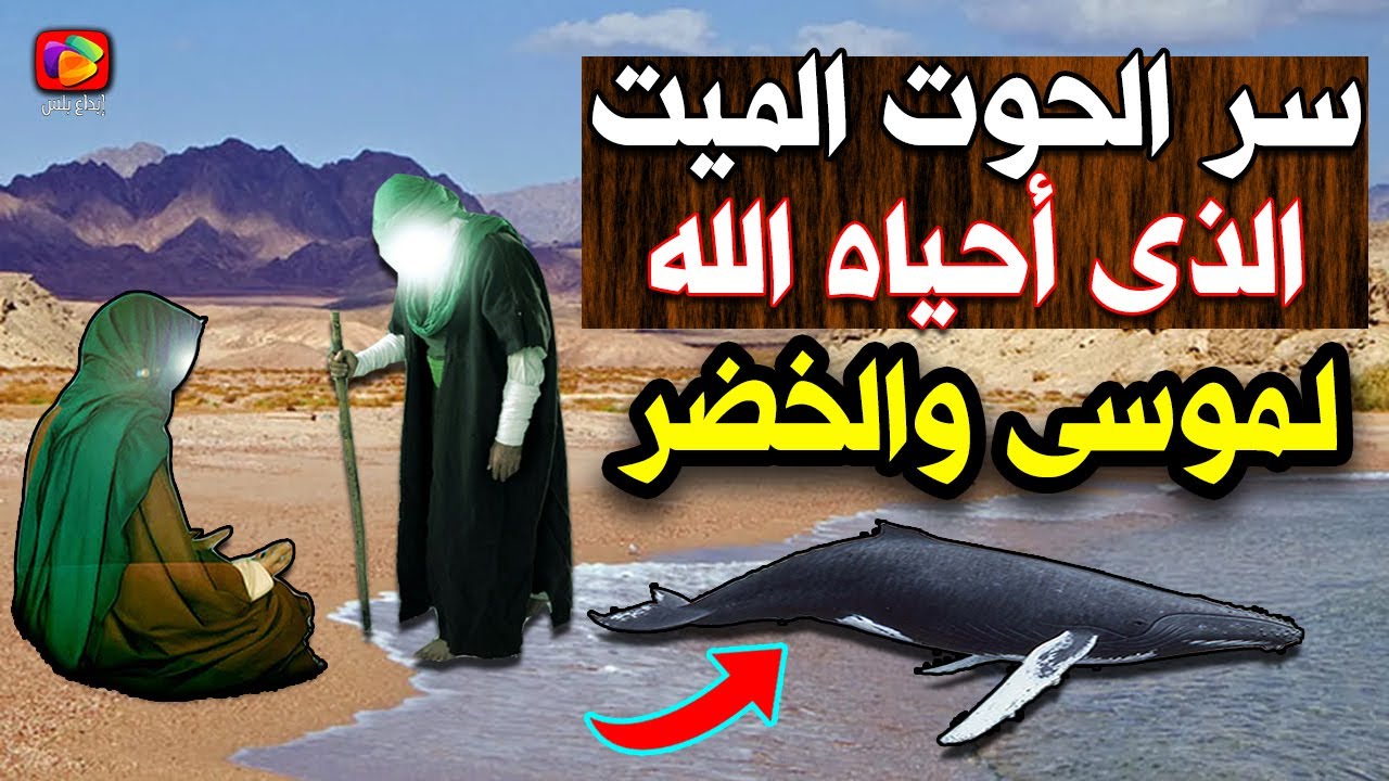 سـر الحوت الميت الذي أحياه الله في قصة الخضر وموسى واكتشاف مكان مجمع البحرين وهل الخضر حى حتى الآن؟