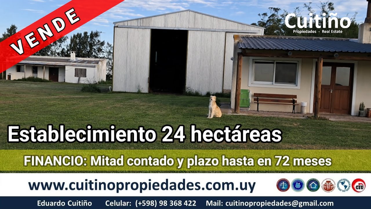 Establecimiento 24 hectáreas agrícola ganadero sobre ruta en San Ramón Canelones Uruguay 