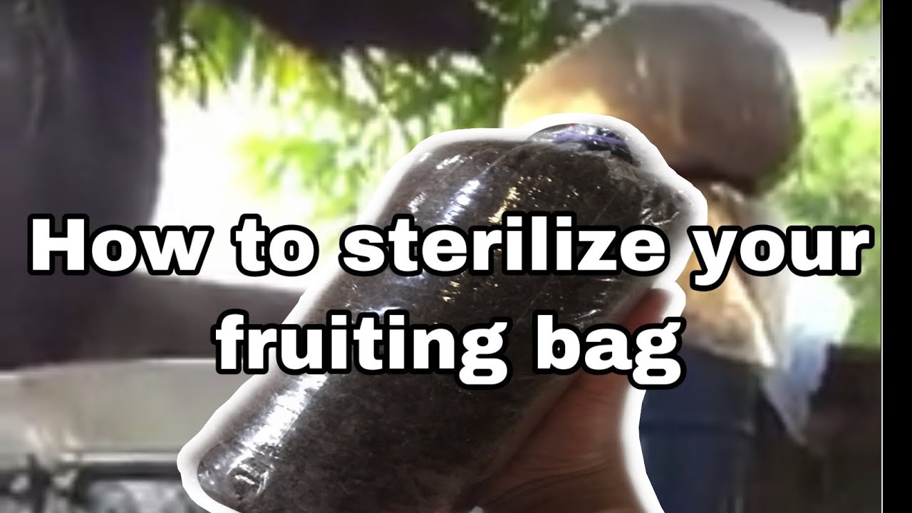 How to sterilize fruiting bag