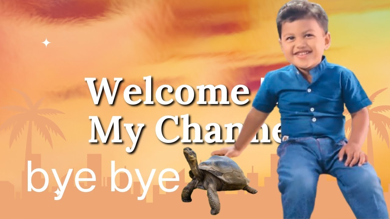 Bye bye thabelu 🐢