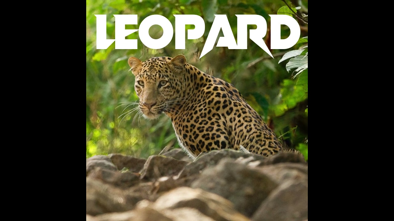 Endangered Species Day | Madhya Pradesh | Mptourism