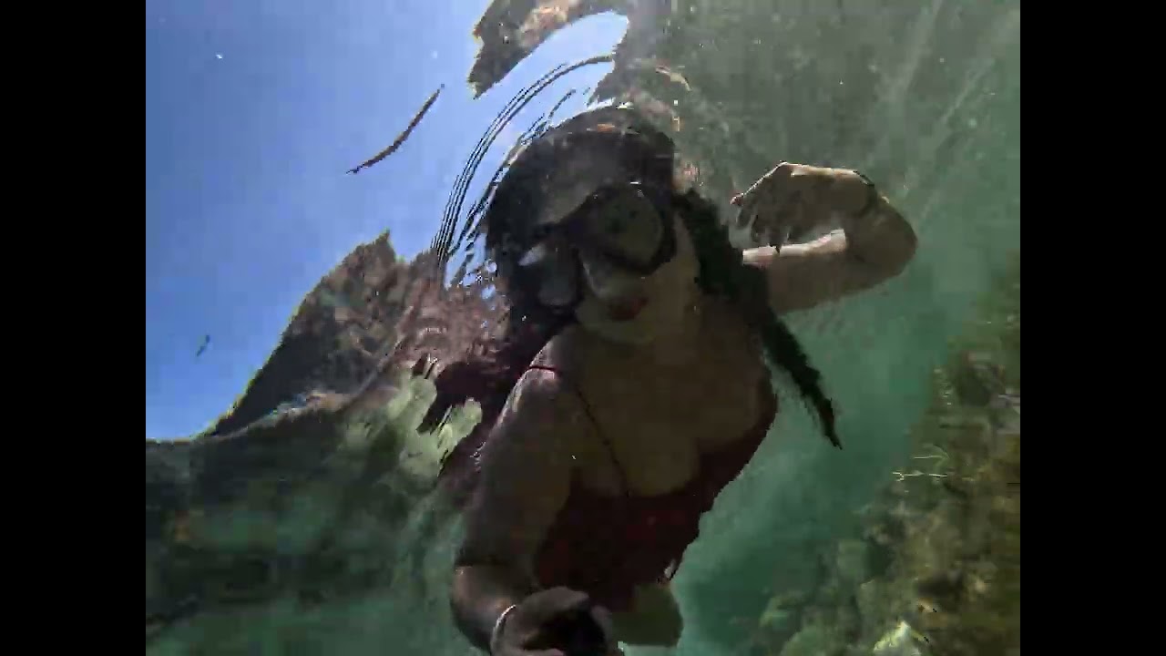 Shallow Dive, Tiny Fish 🐠 A Peaceful Ocean Moment