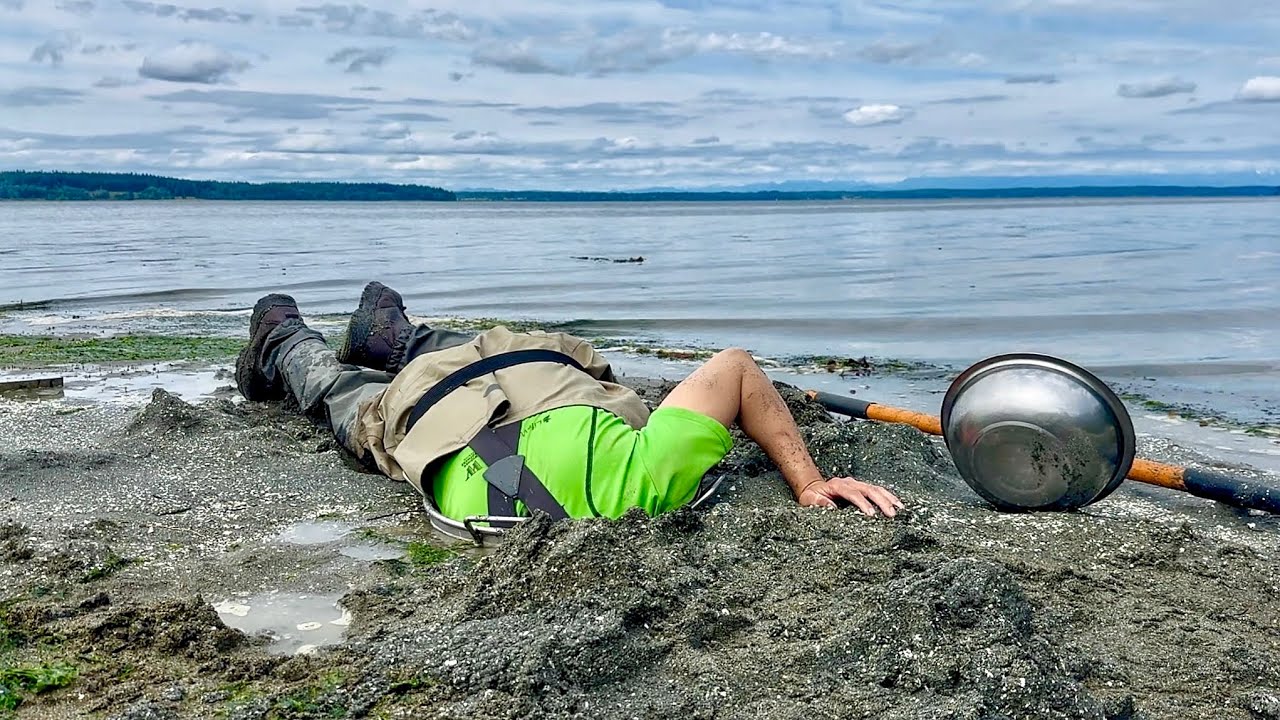 Late May Puget Sound Geoduck Digging