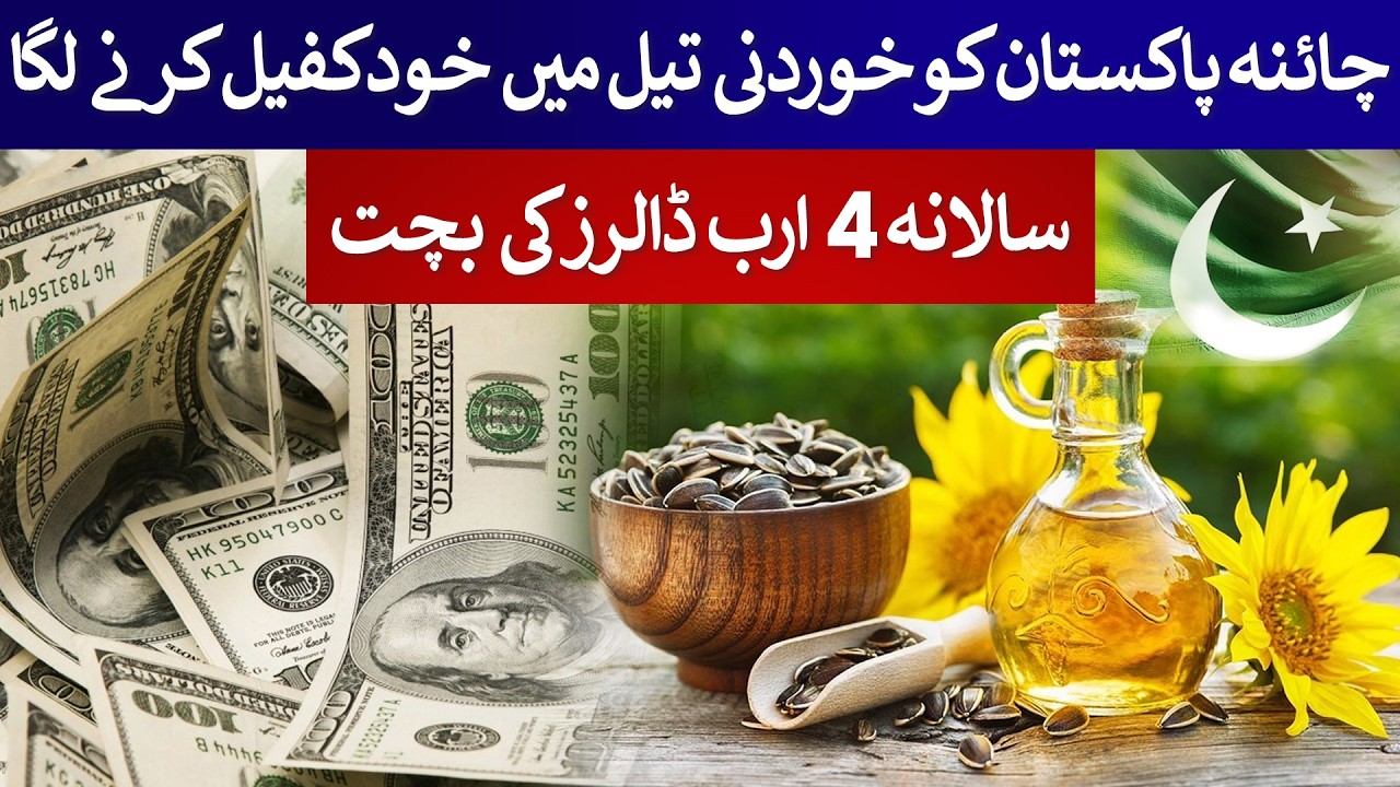 $4 Billion Saving ! China Helps Pakistan Achieve Edible Oil Self-Sufficiency | Rich Pakistan