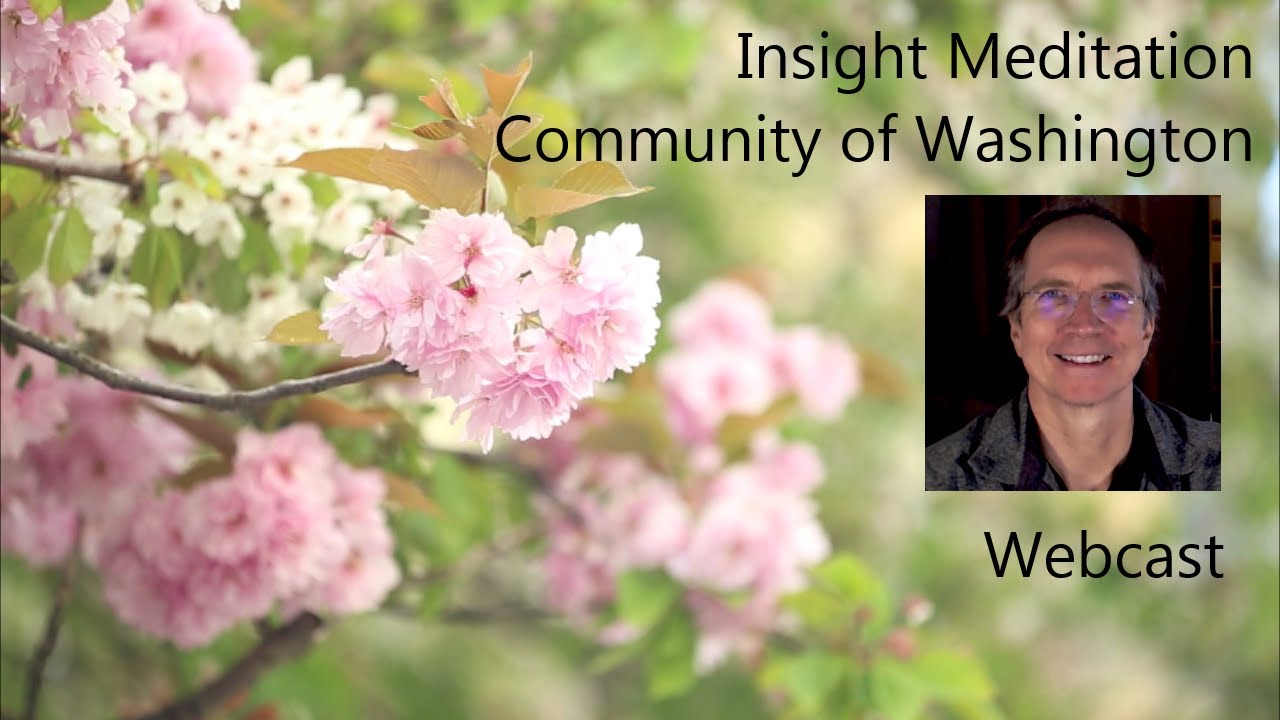 Jonathan Foust | Beyond The Witness: From Watching To Being