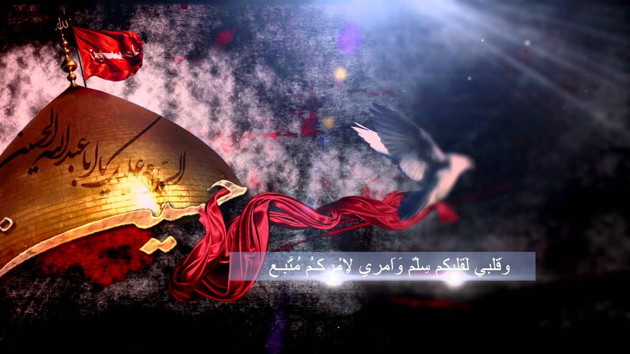 سيد ناصر شرف زيارة وارث لسنة 2014