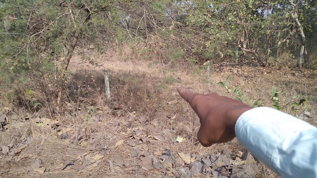Call Me : 9272256987  , Main Highway Touch plot   Rate : 1.50 lakh per Gunta     25 Gunta Plot