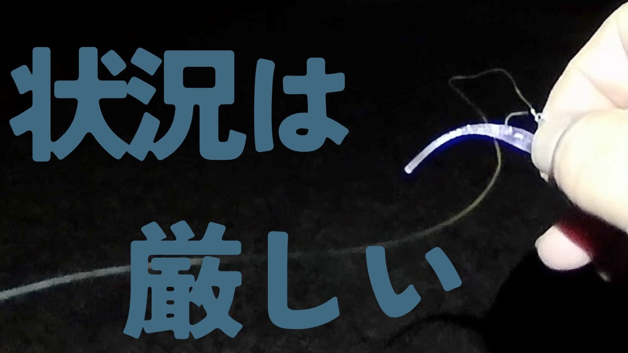 【#1】釣り納→釣り始め→ファーストフィッシュなるか？