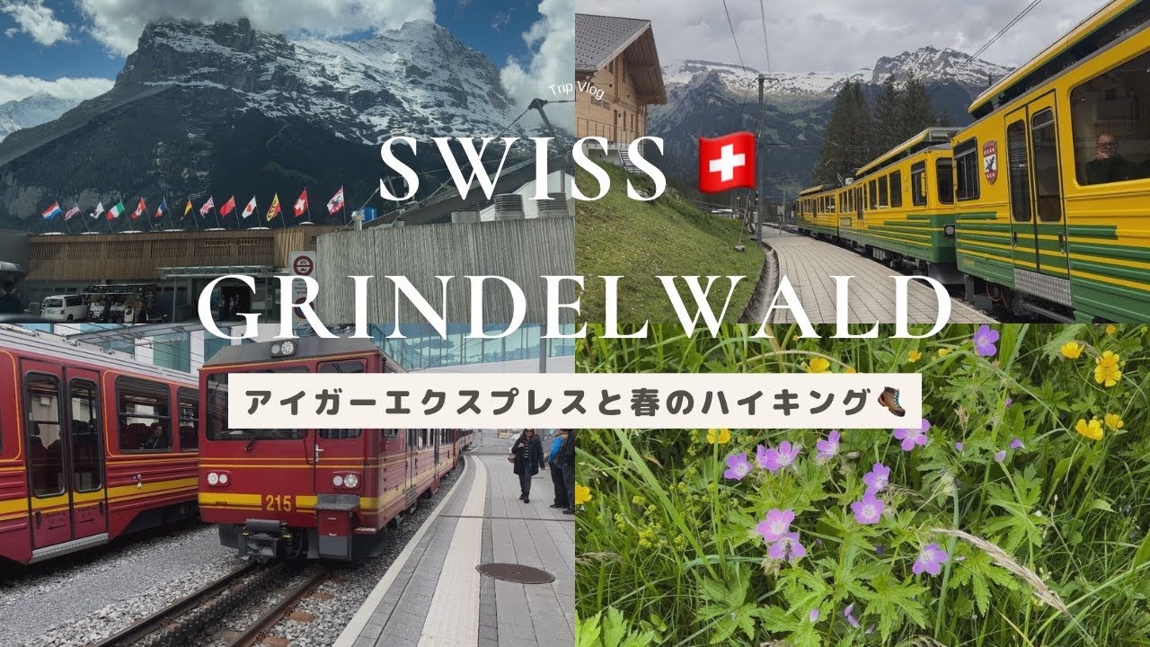 スイス🇨🇭グリンデルワルトでアイガーエクスプレス乗車！春のハイキング🏔️