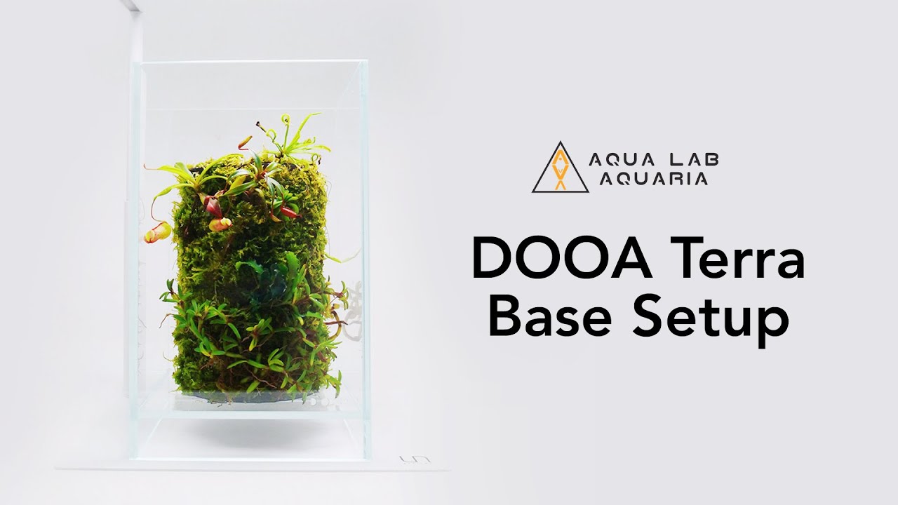 DOOA Terra Base Setup + Design