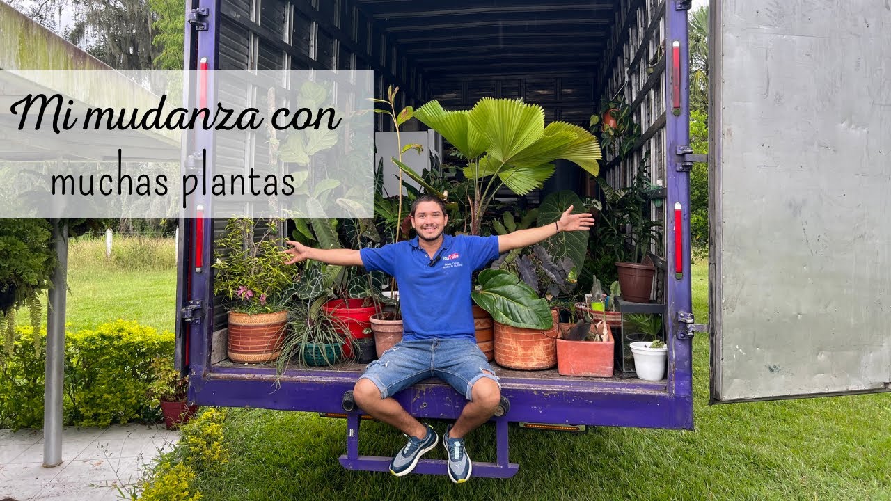 Cambie de casa, así fue mi MUDANZA CON MUCHAS PLANTAS