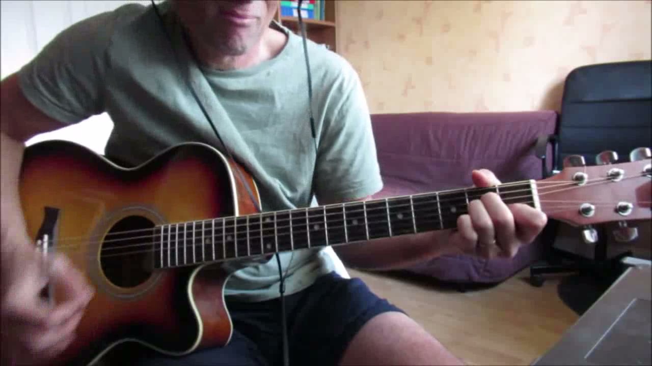 in the darkness (U.D.O.) cover acoustic guitar + tutorial riff