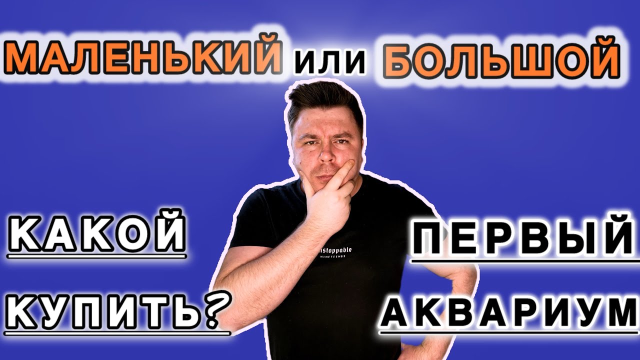 Какой лучше купить первый аквариум новичку ?