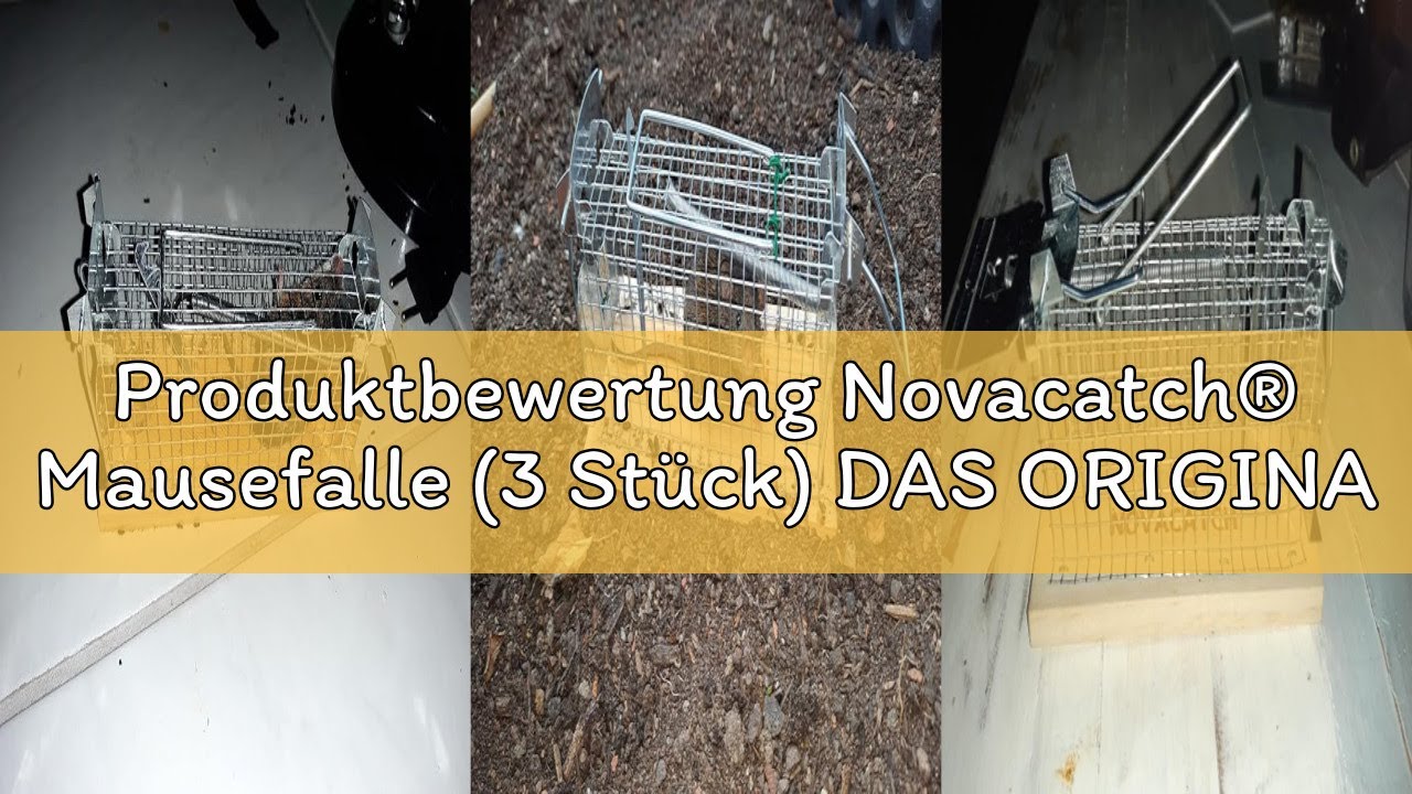 Produktbewertung Novacatch® Mausefalle (3 Stück) DAS ORIGINAL – lebendfallen Mäuse mit Doppeltür für
