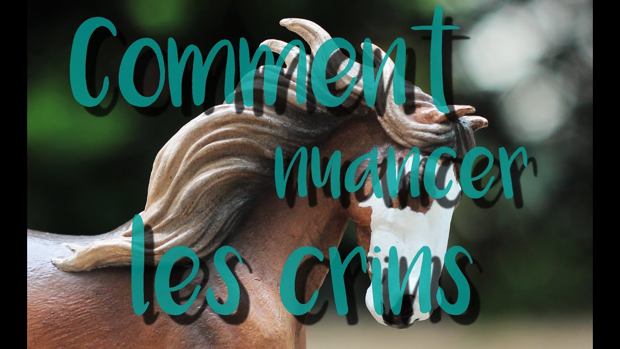 [TUTO 2] Comment nuancer les crins