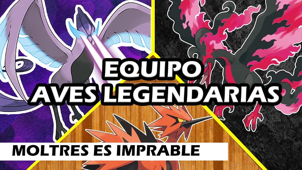 EQUIPO SOLO AVES LEGENDARIAS / COMBATES SINGLES / POKEMON ESPADA Y ESCUDO