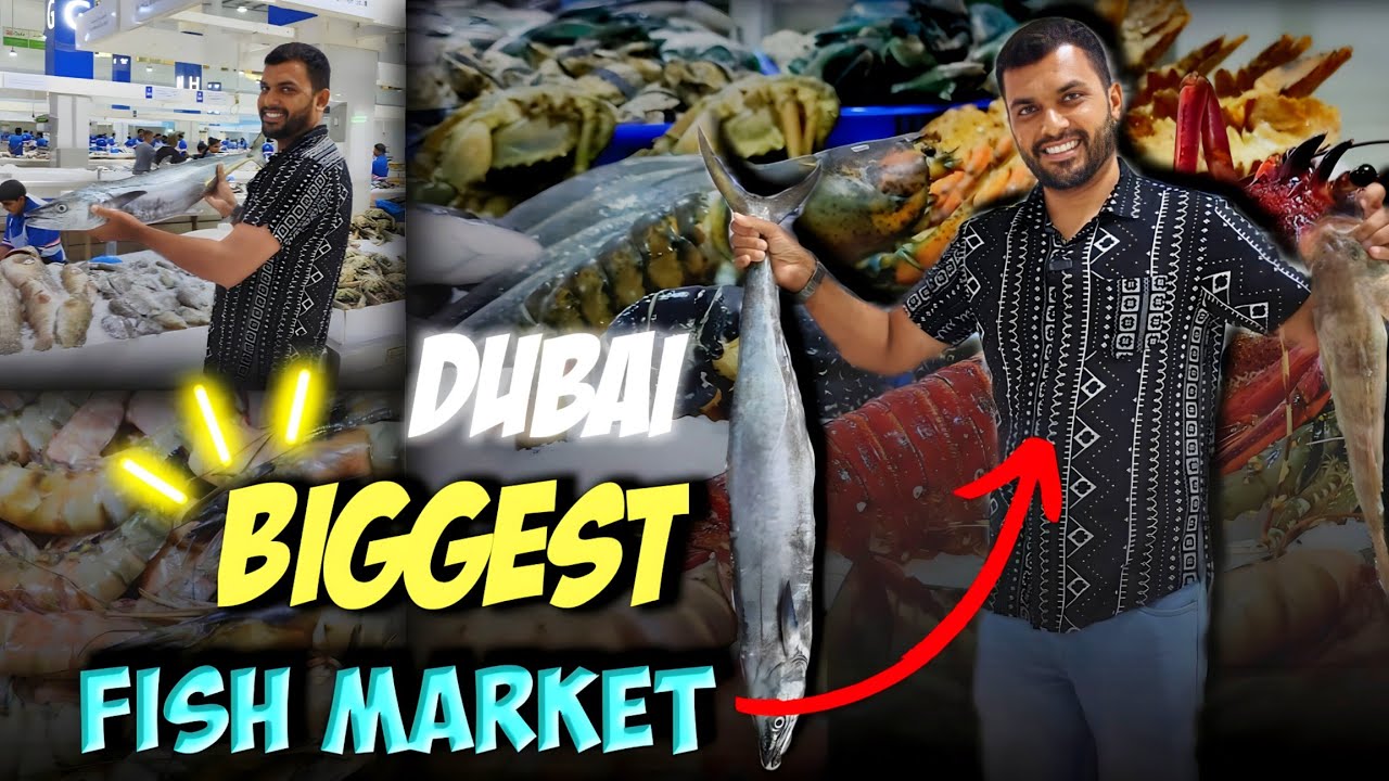 துபாயின் பெரிய மீன் மார்கட் | DUBAI BIGGEST FISH MARKET ||waterfront market dubai exploring in tamil