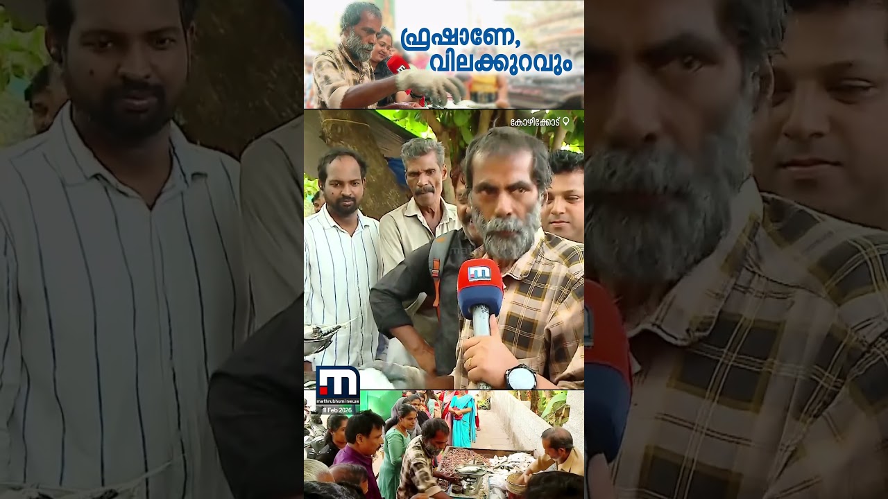 'ലാഭം കുറവ് കച്ചവടം കൂടുതൽ' ഫ്രഷ് മീൻ കുറഞ്ഞ വിലയ്ക്ക്! പറയഞ്ചേരിയിലെ മീൻകടയിൽ ജനത്തിരക്കേറുന്നു
