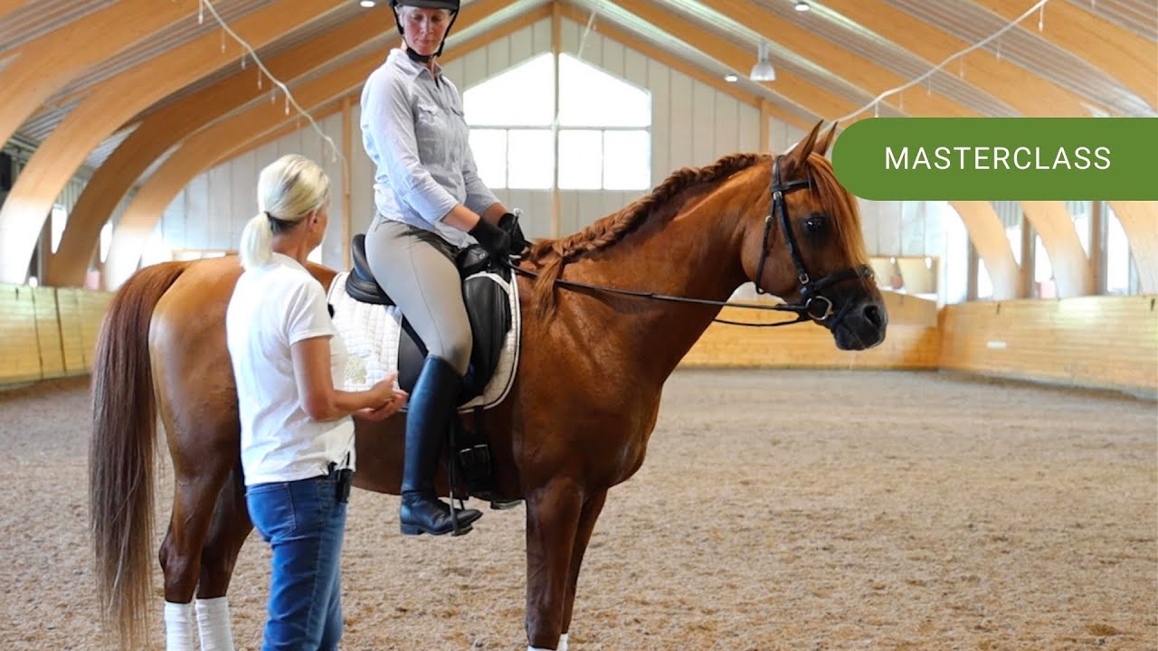 Galoppombyte (Masterclass Trailer) | Grundridning med A-tränare Eva-Karin Oscarsson