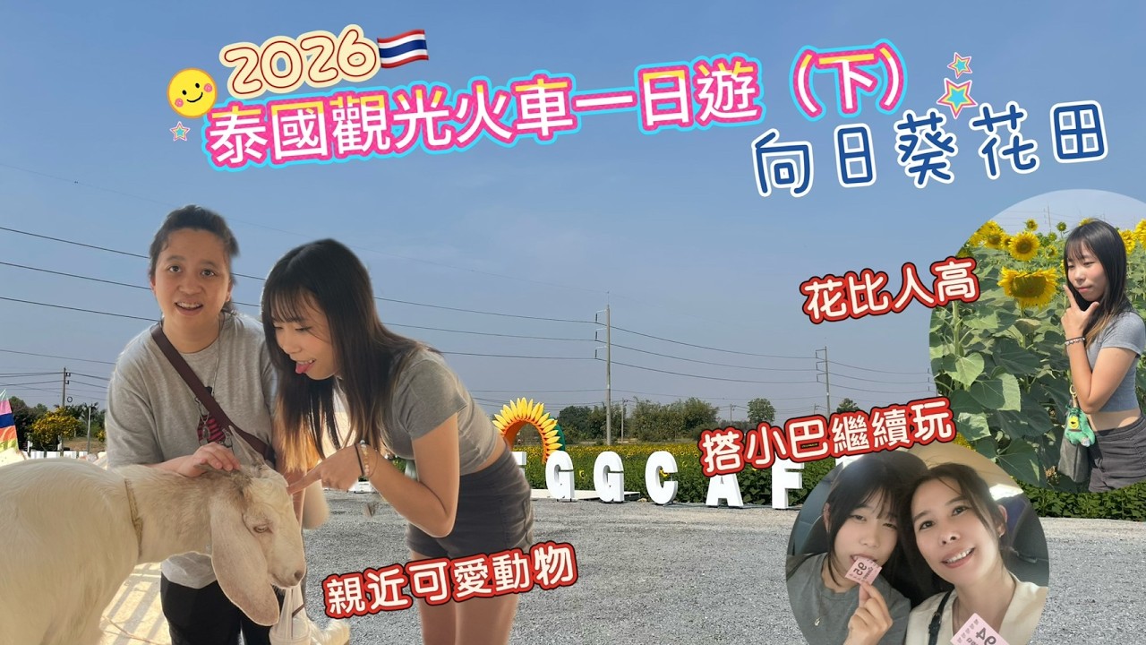 泰國觀光火車一日遊(下)向日葵花田/搭小巴繼續玩