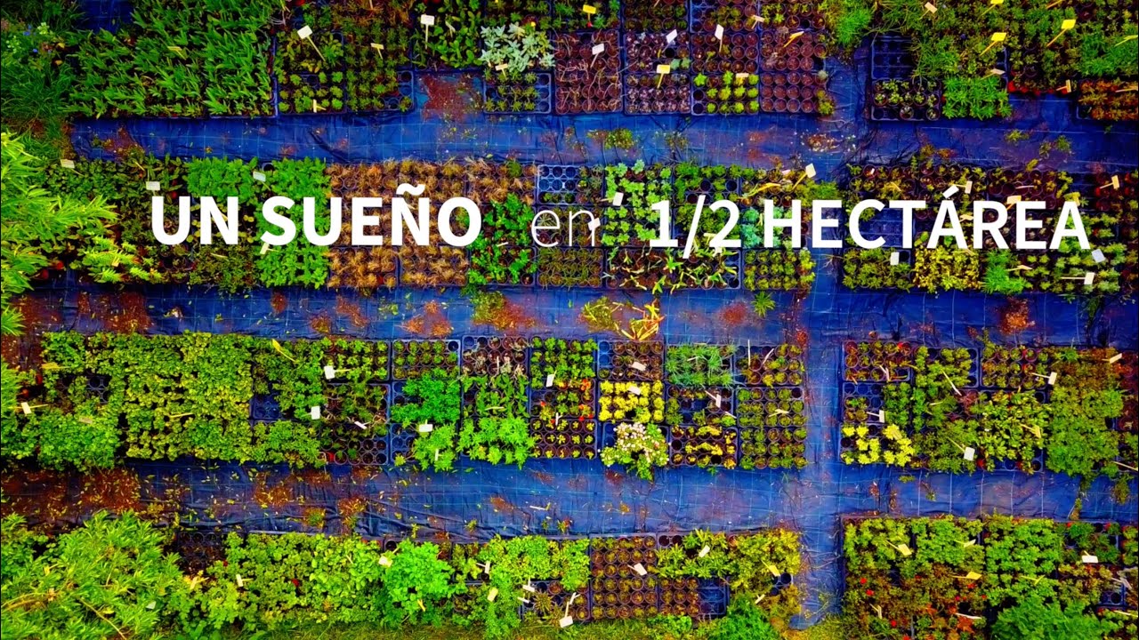 Un SUEÑO en 1/2 hectárea [con + de 300 variedades de plantas]