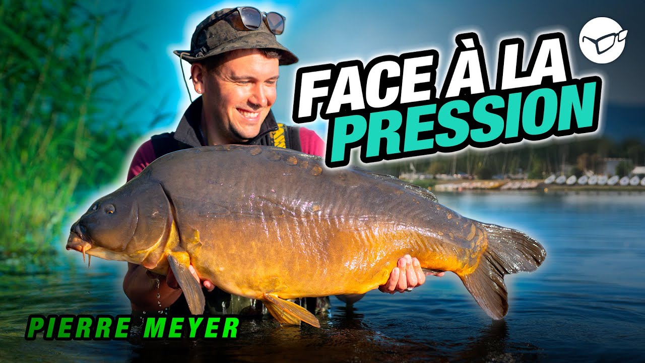 CARP FISHING: COME-BACK - Face à la pression de pêche