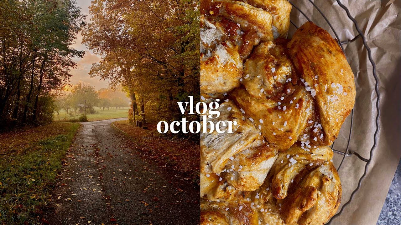 Studio Vlog 51 | Slow Living during the Changing Seasons. Autumn Walks, Art Business & Baking
