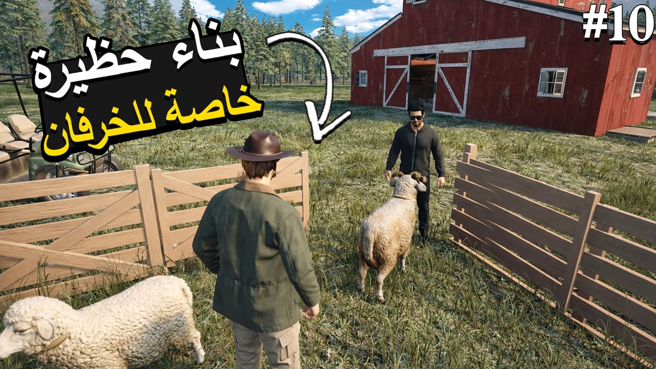 Ranch Simulator محاكي المزرعة  بناء حظيرة خاصة للخرفان وتفاجانا بان الخروف حامل🐑