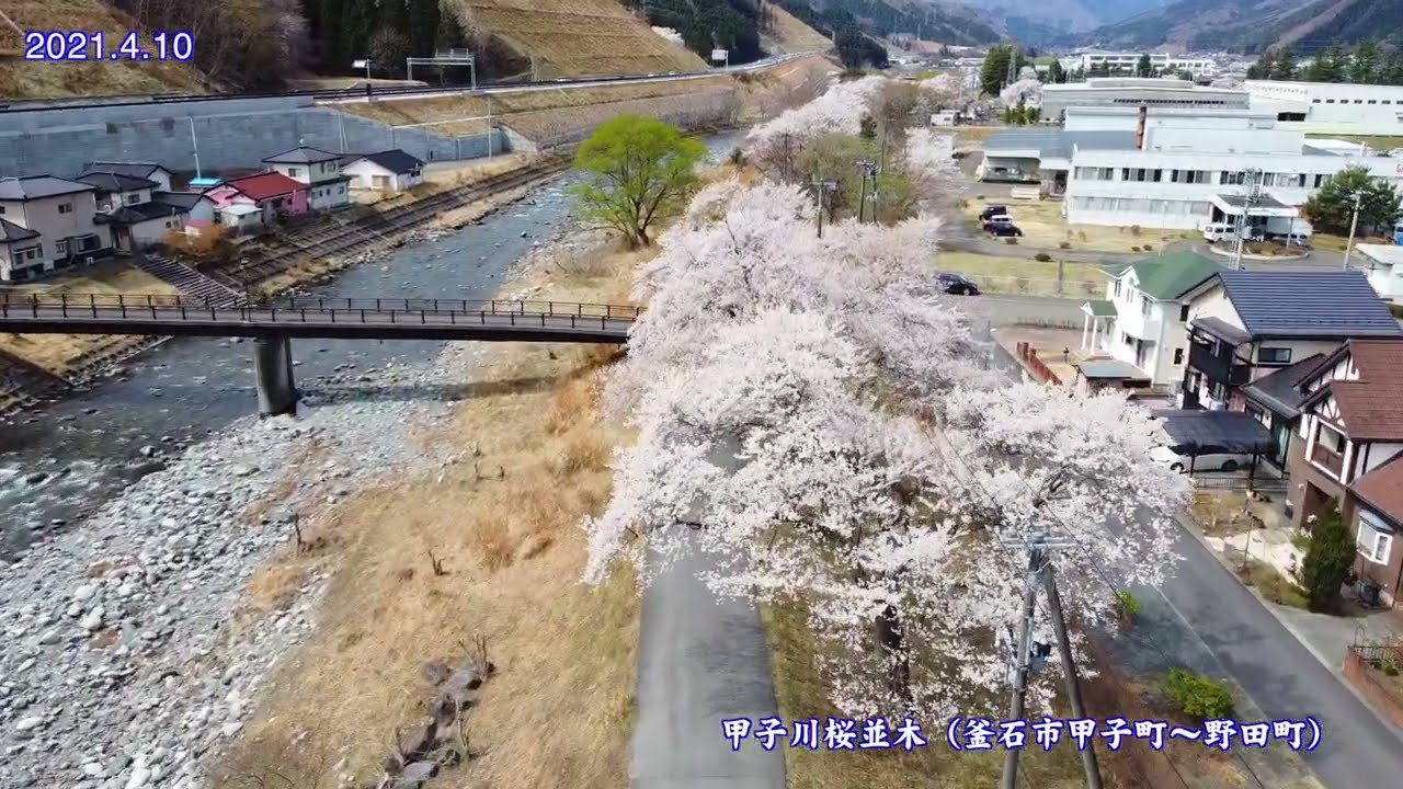 釜石桜めぐり（2021 4 10）〜市内のお花見スポット〜