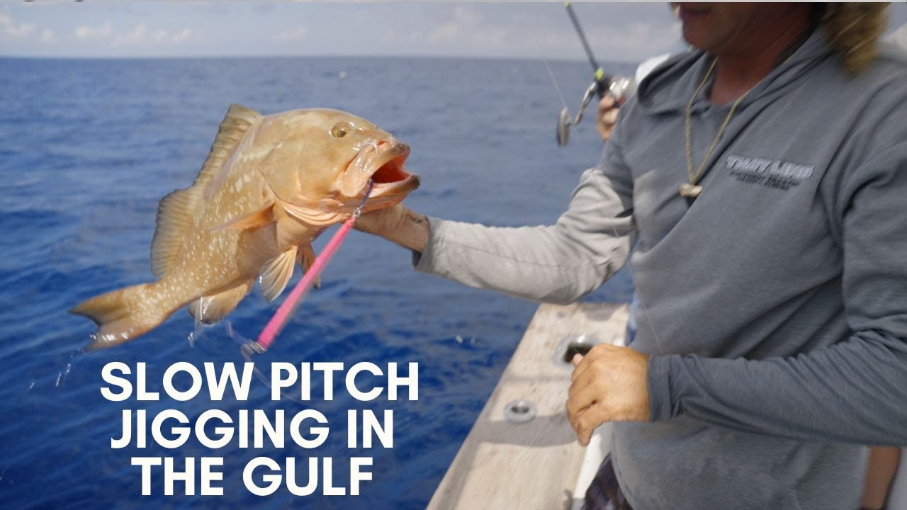 Catching Red Snappers and Grouper Slow Pitch Jigging off Sarasota with Tight Lines Charters